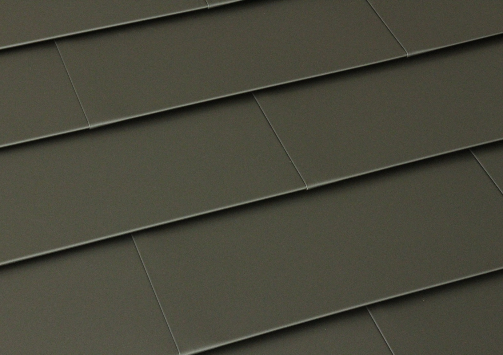 ツヤケシギングロ